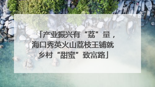产业振兴有“荔”量，海口秀英火山荔枝王铺就乡村“甜蜜”致富路