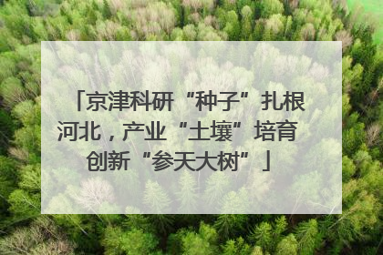 京津科研“种子”扎根河北，产业“土壤”培育创新“参天大树”