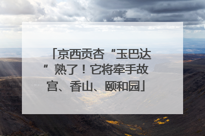 京西贡杏“玉巴达”熟了！它将牵手故宫、香山、颐和园