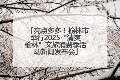 亮点多多！榆林市举行2025“清爽榆林”文旅消费季活动新闻发布会