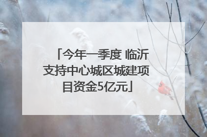 今年一季度 临沂支持中心城区城建项目资金5亿元