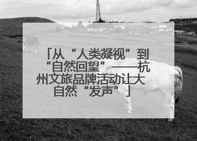 从“人类凝视”到“自然回望”——杭州文旅品牌活动让大自然“发声”