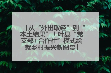 从“外出取经”到“本土结果”！叶县“党支部+合作社”模式绘就乡村振兴新图景