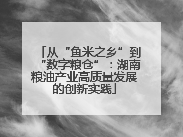 从“鱼米之乡”到“数字粮仓”：湖南粮油产业高质量发展的创新实践
