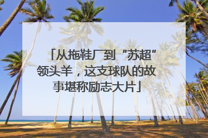 从拖鞋厂到“苏超”领头羊，这支球队的故事堪称励志大片
