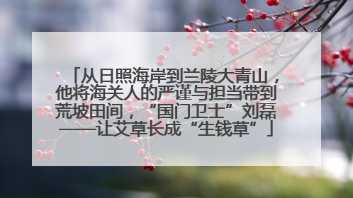 从日照海岸到兰陵大青山，他将海关人的严谨与担当带到荒坡田间，“国门卫士”刘磊——让艾草长成“生钱草”
