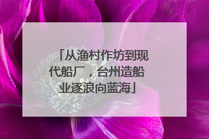 从渔村作坊到现代船厂，台州造船业逐浪向蓝海
