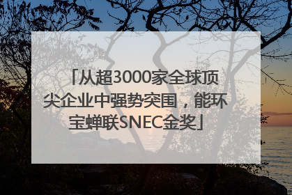从超3000家全球顶尖企业中强势突围，能环宝蝉联SNEC金奖