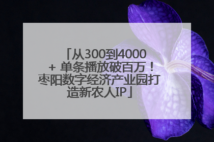 从300到4000+ 单条播放破百万！枣阳数字经济产业园打造新农人IP