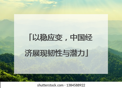 以稳应变，中国经济展现韧性与潜力