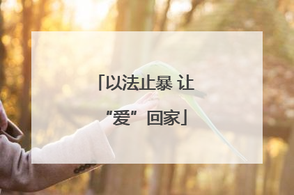 以法止暴 让“爱”回家