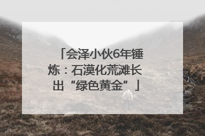 会泽小伙6年锤炼：石漠化荒滩长出“绿色黄金”