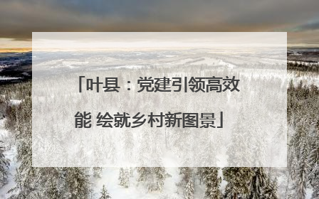 叶县：党建引领高效能 绘就乡村新图景