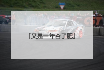 又是一年杏子肥