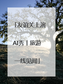 友谊关上演AI秀丨旅游一线见闻