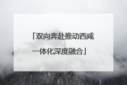 双向奔赴推动西咸一体化深度融合