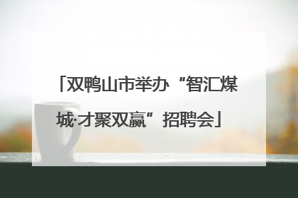 双鸭山市举办“智汇煤城·才聚双赢”招聘会