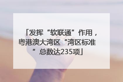 发挥“软联通”作用，粤港澳大湾区“湾区标准”总数达235项