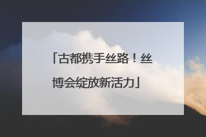 古都携手丝路！丝博会绽放新活力