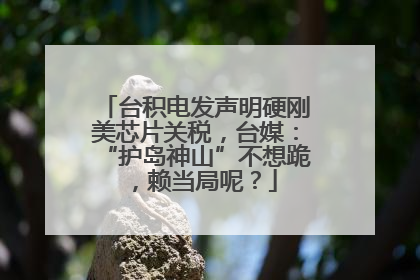 台积电发声明硬刚美芯片关税，台媒：“护岛神山”不想跪，赖当局呢？
