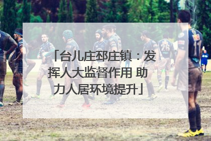 台儿庄邳庄镇：发挥人大监督作用 助力人居环境提升