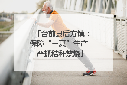 台前县后方镇：保障“三夏”生产 严抓秸秆禁烧