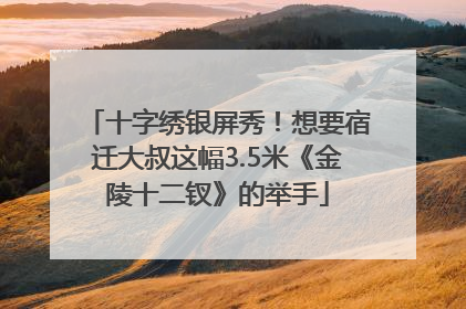 十字绣银屏秀！想要宿迁大叔这幅3.5米《金陵十二钗》的举手