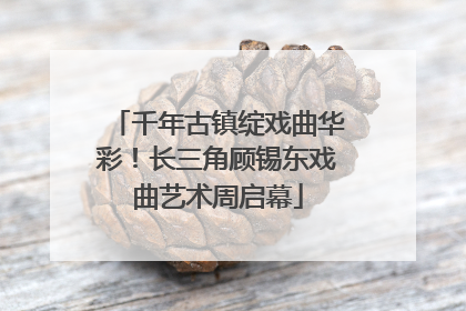 千年古镇绽戏曲华彩！长三角顾锡东戏曲艺术周启幕