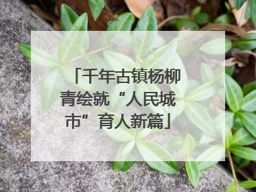 千年古镇杨柳青绘就“人民城市”育人新篇