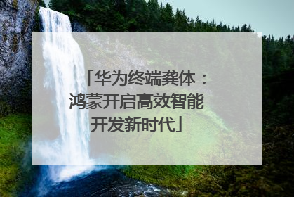 华为终端龚体：鸿蒙开启高效智能开发新时代