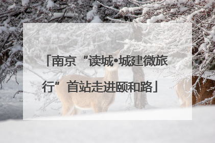 南京“读城•城建微旅行”首站走进颐和路