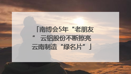 南博会5年“老朋友” 云铝股份不断擦亮云南制造“绿名片”