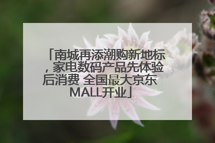 南城再添潮购新地标，家电数码产品先体验后消费 全国最大京东MALL开业