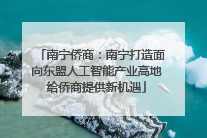 南宁侨商：南宁打造面向东盟人工智能产业高地给侨商提供新机遇