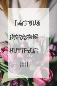 南宁机场货站宠物候机厅正式启用