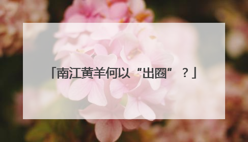 南江黄羊何以“出圈”？
