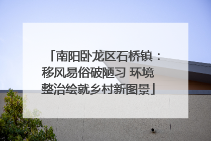 南阳卧龙区石桥镇：移风易俗破陋习 环境整治绘就乡村新图景