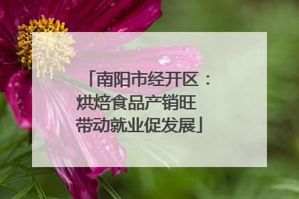 南阳市经开区：烘焙食品产销旺 带动就业促发展