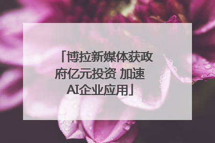 博拉新媒体获政府亿元投资 加速AI企业应用