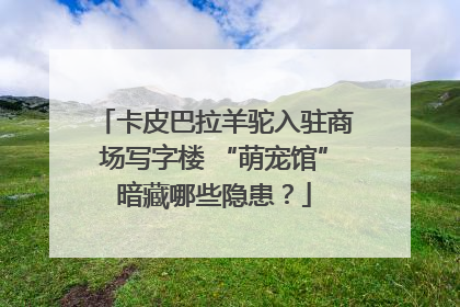 卡皮巴拉羊驼入驻商场写字楼 “萌宠馆”暗藏哪些隐患？
