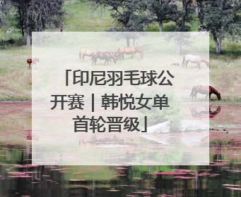 印尼羽毛球公开赛｜韩悦女单首轮晋级