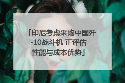印尼考虑采购中国歼-10战斗机 正评估性能与成本优势