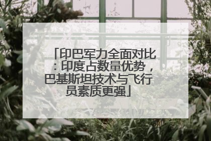 印巴军力全面对比：印度占数量优势，巴基斯坦技术与飞行员素质更强