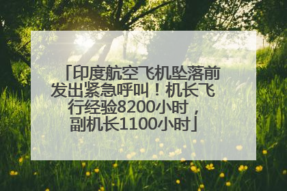 印度航空飞机坠落前发出紧急呼叫！机长飞行经验8200小时，副机长1100小时