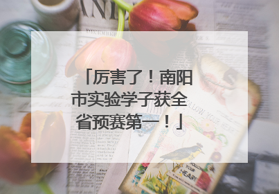 厉害了！南阳市实验学子获全省预赛第一！