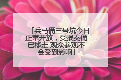 兵马俑三号坑今日正常开放，受损秦俑已移走 观众参观不会受到影响