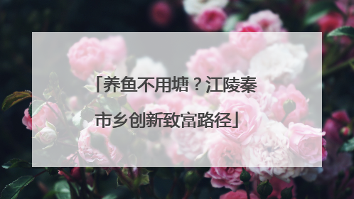 养鱼不用塘？江陵秦市乡创新致富路径