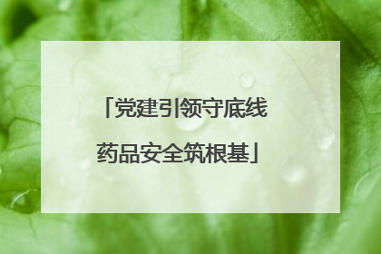 党建引领守底线 药品安全筑根基