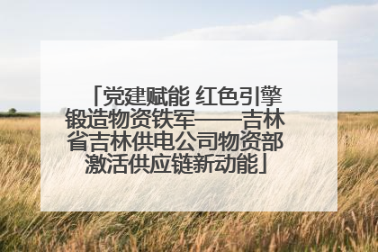 党建赋能 红色引擎锻造物资铁军——吉林省吉林供电公司物资部激活供应链新动能