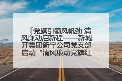 党旗引领风帆劲 清风廉动启新程——新城开集团新宇公司党支部启动“清风廉动党旗红”系列活动